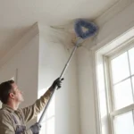 Ringed Dust Brush - Image 2